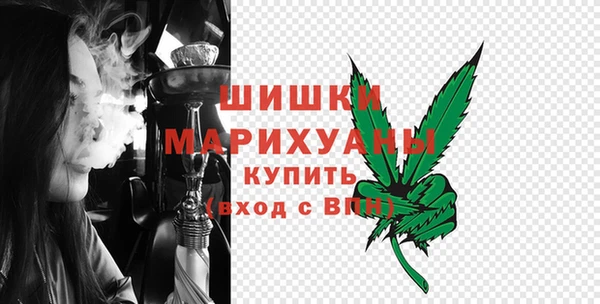 гидра Бородино