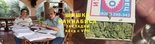 гидра Бородино