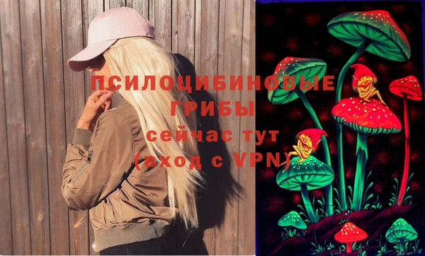 прущие грибы Богородицк
